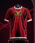 Chicago Bulls